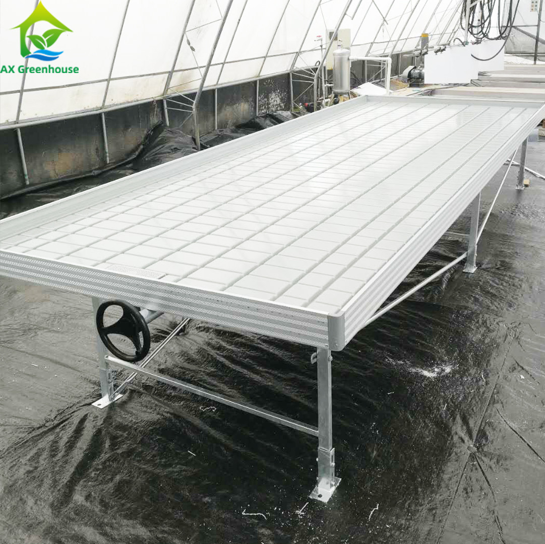 Soilless Culture Greenhouse Indoor Custom Ebb Grow Table Rolling Bench For Seed