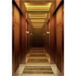 Factory Customization Home Villa Elevator Install Outdoor Indoor Lift
