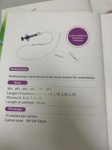 China Urine Drainage Catheter High Visualization Ureteral Catheter wholesale