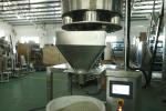Stainless Steel 304 Semi-Automaticvsugar salt chili powder cashew nut packing