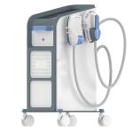 High Frequency Ems Slimming Machine 220V for Skin Tightening