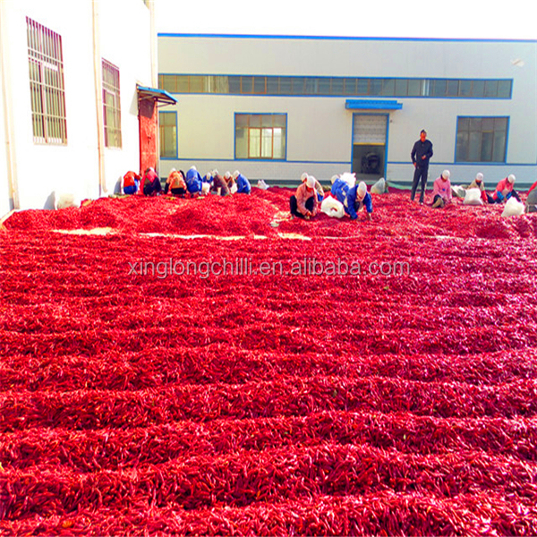 Factory price dried red paprika chili powder in different ASTA specification