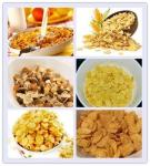 Automatic Corn Flakes Production Line Breakfast Cereal Corn And Wheat Flakes