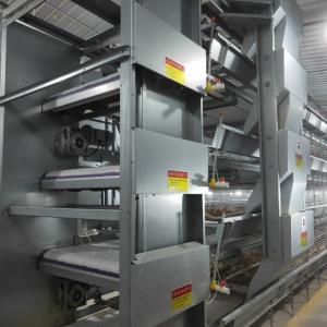 China Hot Galvanized Poultry Farming Battery Cage System For Laying Hen wholesale