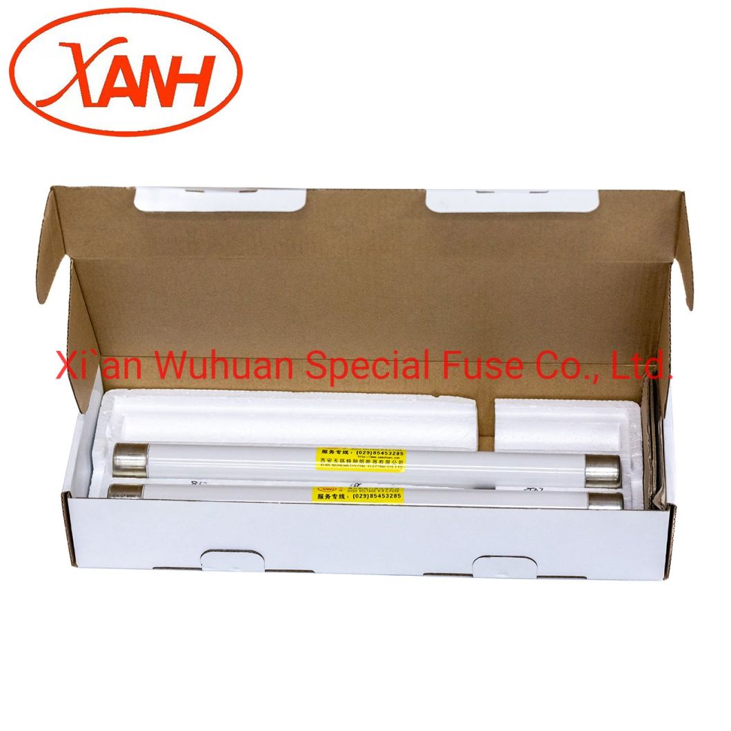 Hv Current Limiting Fuse Xrnp1-24 24kv HRC Fuses Xrnt-12 for High Voltage Motor