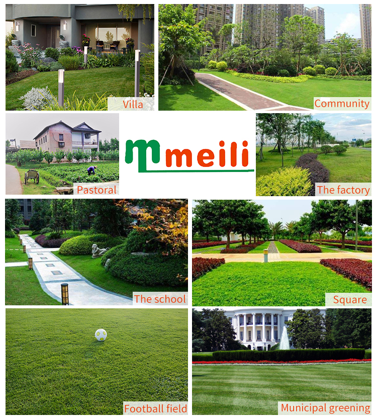 Ultra Low Capacity Pest Control Gasoline Portable Electric Sprayer Agricultural ulv fogger sprayer