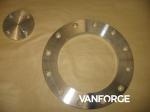 Industrial Austenitic / Duplex SS Forged Steel Flange Excellent Polishability