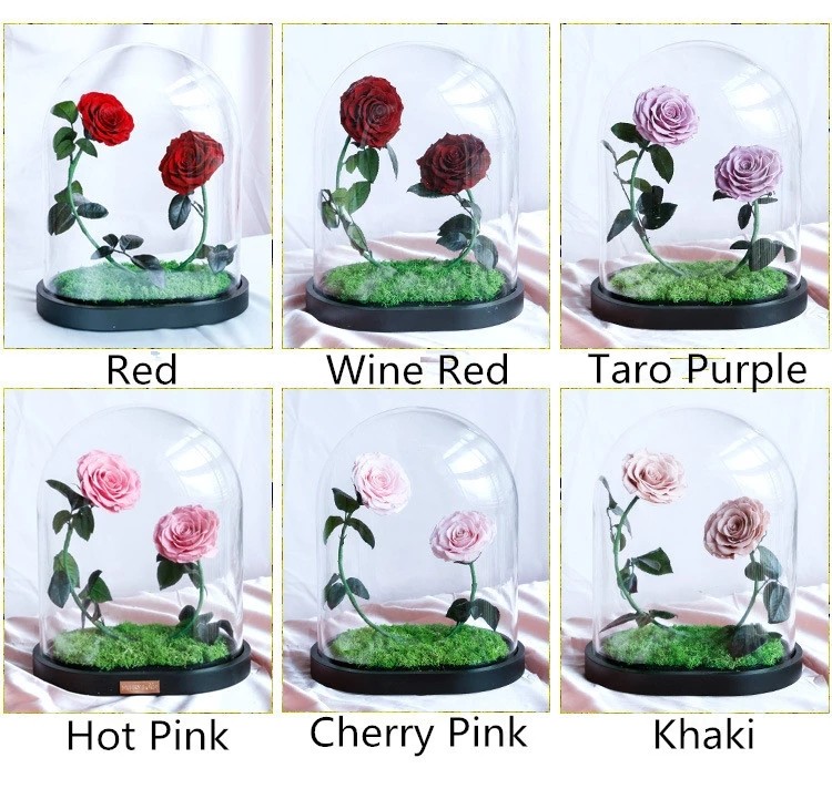 2021 New In Christmas Preserved Rose In Glass Dome Rose With Curving Stem In Glass Bell rose gift
