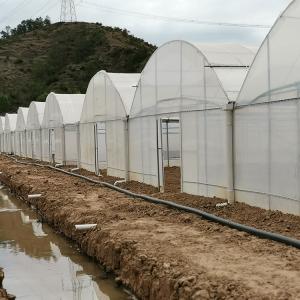 China Poly Film Arch Tunnel Agriculture Vegetable Plastic Film Greenhouse Commercial wholesale