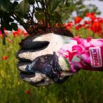 Butterfly Digital Print Garden Work Gloves With Tpr Impact Protection And