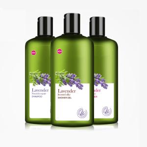 China Balance Greasy Lavender Essential Oil Shampoo In - Depth Moisturizing Hair wholesale