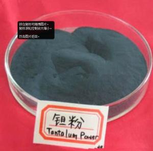 China Tantalum Powder wholesale