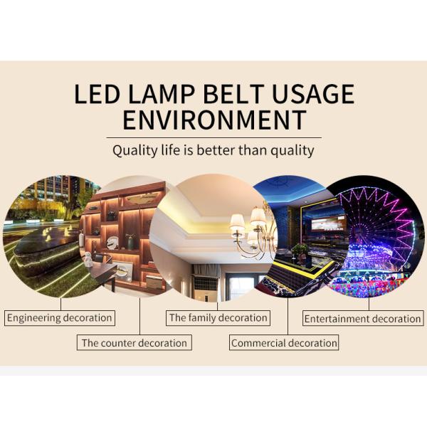 11.5W RGBWCopper White SMD 5050 LED Strip Light 290-310lm with doulbe PCB