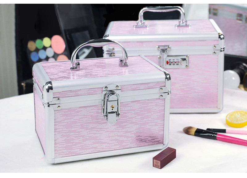 Lock Hard Brushes Toiletry Makeup Bag Case