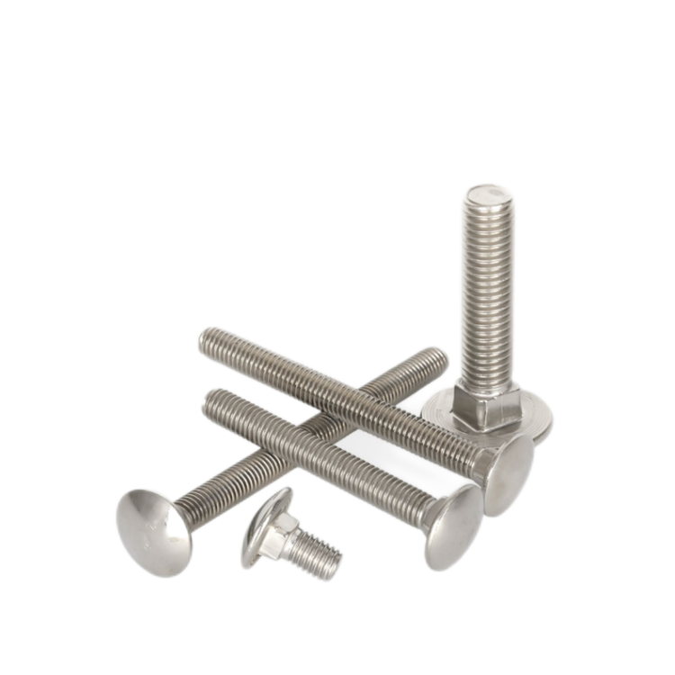 SS304 Stainless Steel M3 M4 M5 M6 M8 M10 Carriage Bolts with ISO9001 2015 Certificate