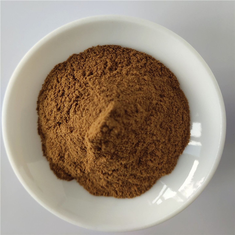 Hot Sale Lose Weight Fast Diet Hoodia Cactus Extract