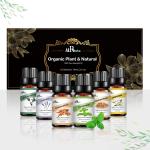 6pcs Aromatherapy Essential Oil Set 0.3kg 100% Pure Essential Oil Gift Set COA
