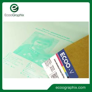 China Digital Photopolymer Negative Violet CTP Plate For Newspaper Printing wholesale