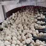 1.2% MgO Content Alumina Cement Ceramic Grinding Ball for Durable Refractory