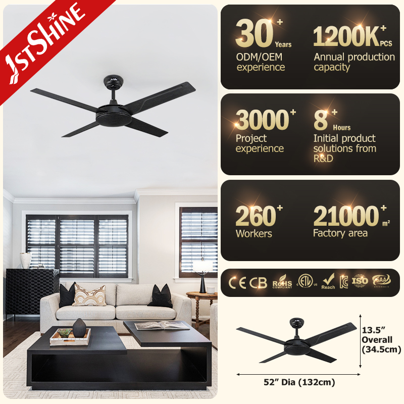 ceiling fan