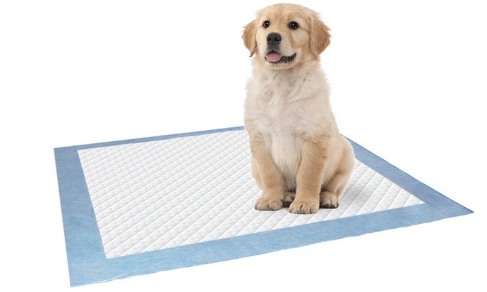 Dry Surface Blue Pet Underpads Non Woven 60*150cm Disposable Puppy Pads