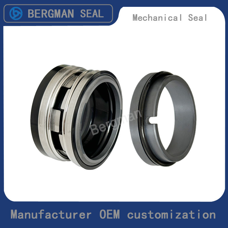 BERGMAN Replaces John Crane 2100-K 12mm-100mm G60 G4 G6 G9 G13 G16 BS Bo BP Pump Mechanical Seal