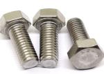 SS304 M6 Plain Finish Flanged Hexagonal Head Bolt 1.0X16mm