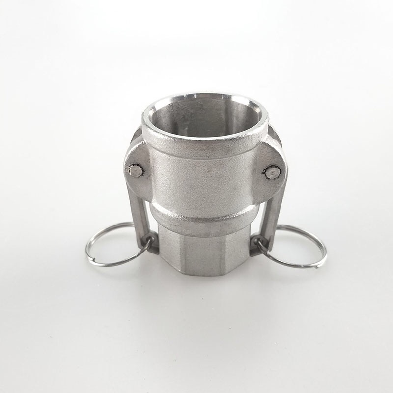 Customized SS 304 316 D type Camlock Quick Connectors for Water Gas Oil NPT BSP 1/4"-4
