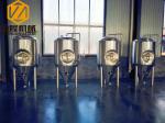 IPA STOUT Hotel / Home Beer Brewing Equipment With 2 Sanitary Wort Pump