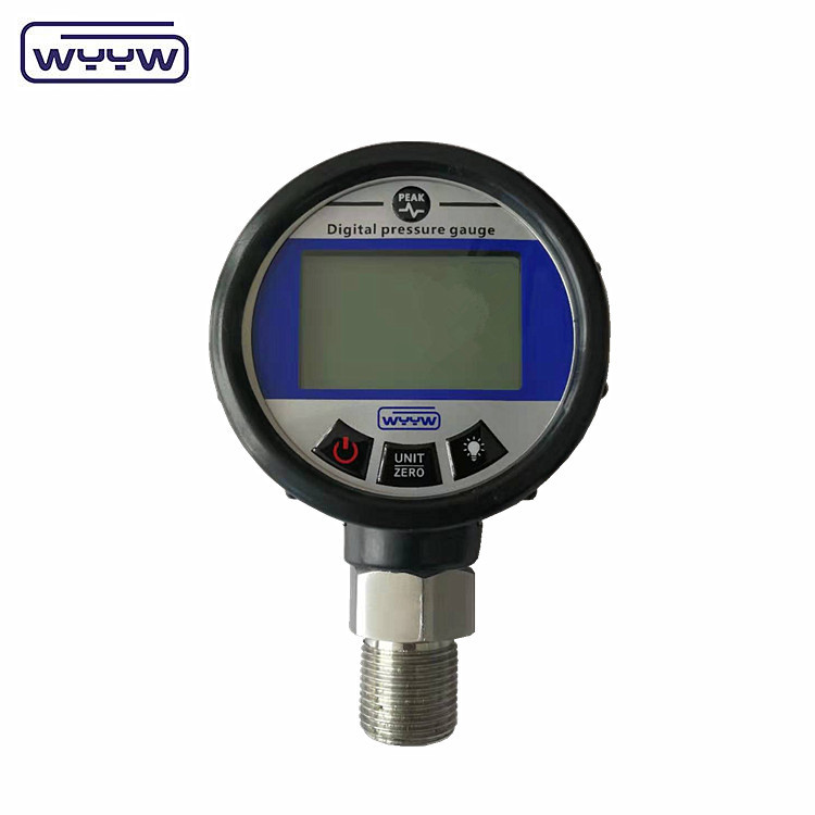 SS Digital Pressure Gauge Panel Mount Stainless Steel Material