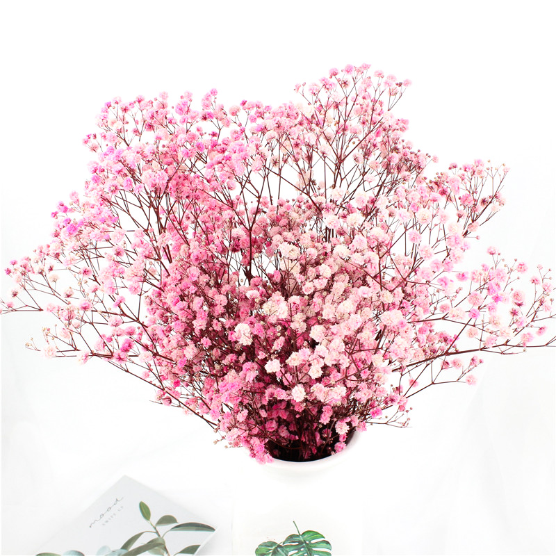 Indoor Decoration Preserved Babys Breath For Decorating Living Room