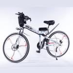 26 Inch 21 Speed Electric Bike 48V 10AH Battery Handlebar Display