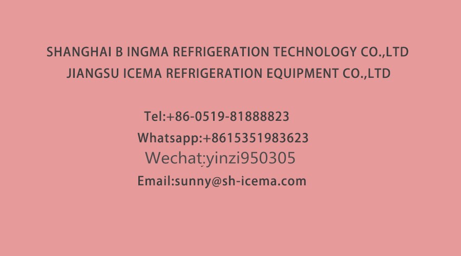 Large Capacity Stainless Steel 304 Electric Crusher Machine