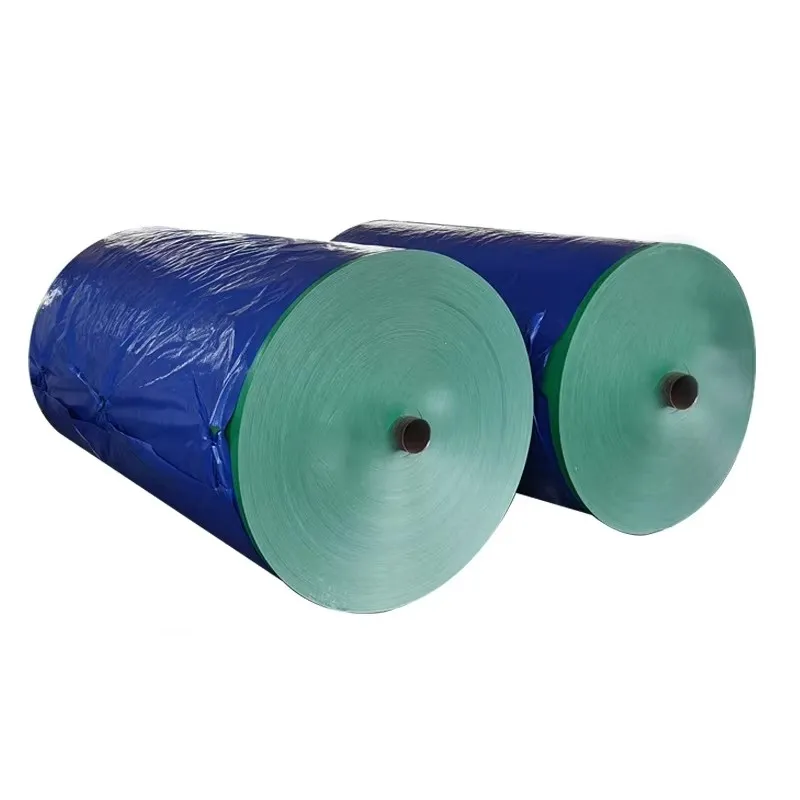 PE Tarpaulin 100% Waterproof High Quality Truck Cover Cargo Cover Hot Selling Tarpaulins Roll