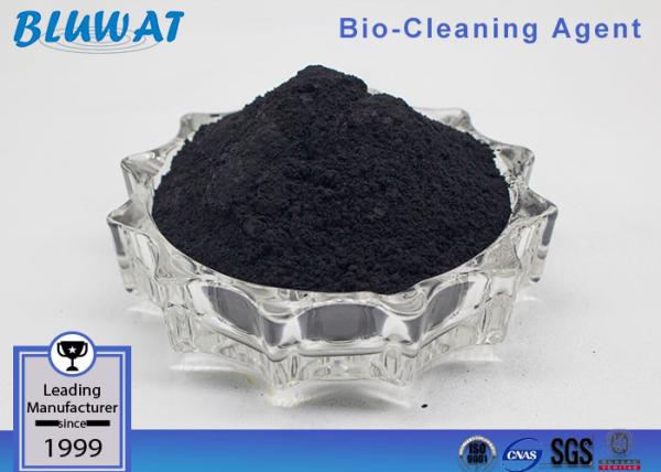 Aeration Tank Bacteria Active Sludge Process Microbiological Water Purifiation