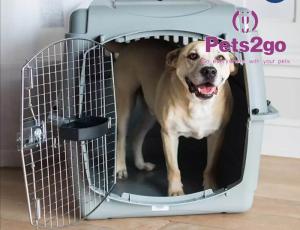 China High Transparency 36X40CM 1.70KG PVC Pet Carrier Cage wholesale