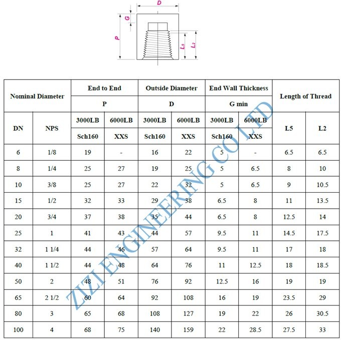 Forged Steel Pipe Fittings Stainless Steel Socket Weld Cap / Threaded Cap