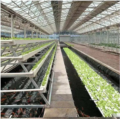 Agricultural Hydroponic Greenhouse Pvc Nft Hydroponics Channel Making Machine