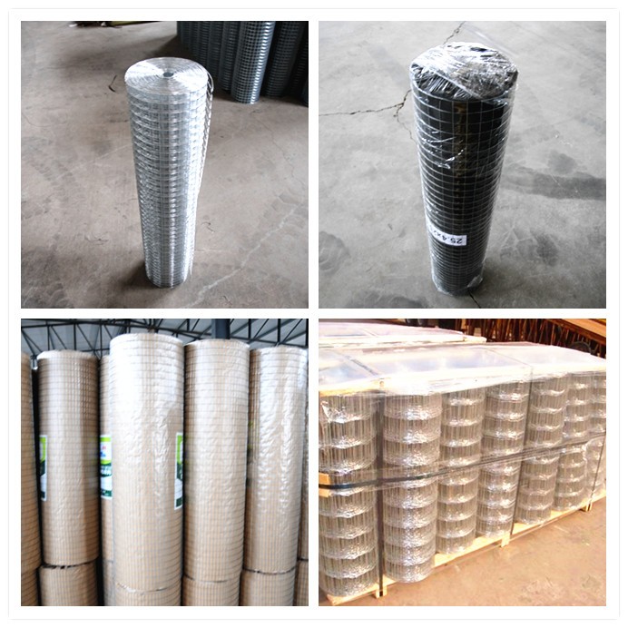 bird cage welded wire mesh roll