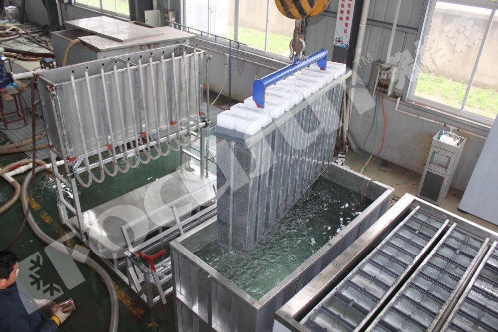 Motor-driven 10 ton FIB-WHB Brine Cooling Block Ice Machine for Water-Cooling System