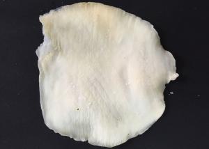 China Seasoned Dried Squid wholesale