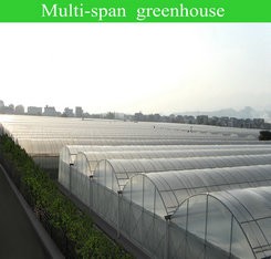 Agricultural Greenhouse Ltd. Presents Large Vertical Hydroponic System for Lettuce