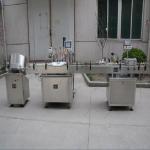 Lube / Olive Edible Oil Filling Machine Manual With High Measurement Accuracy