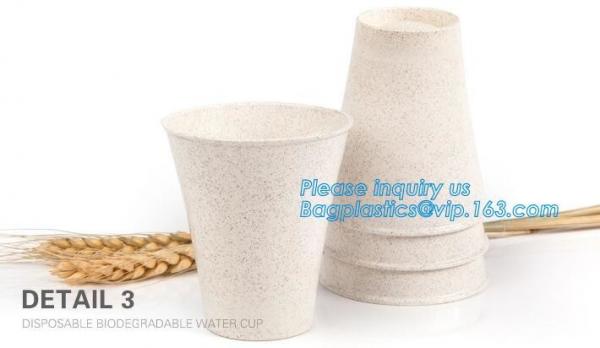 Custom Disposable Clear Cold Drink Juice Cup 100% Ecofriendly Biodegradable Compostable PLA Plastic Coffee Drinking Cup