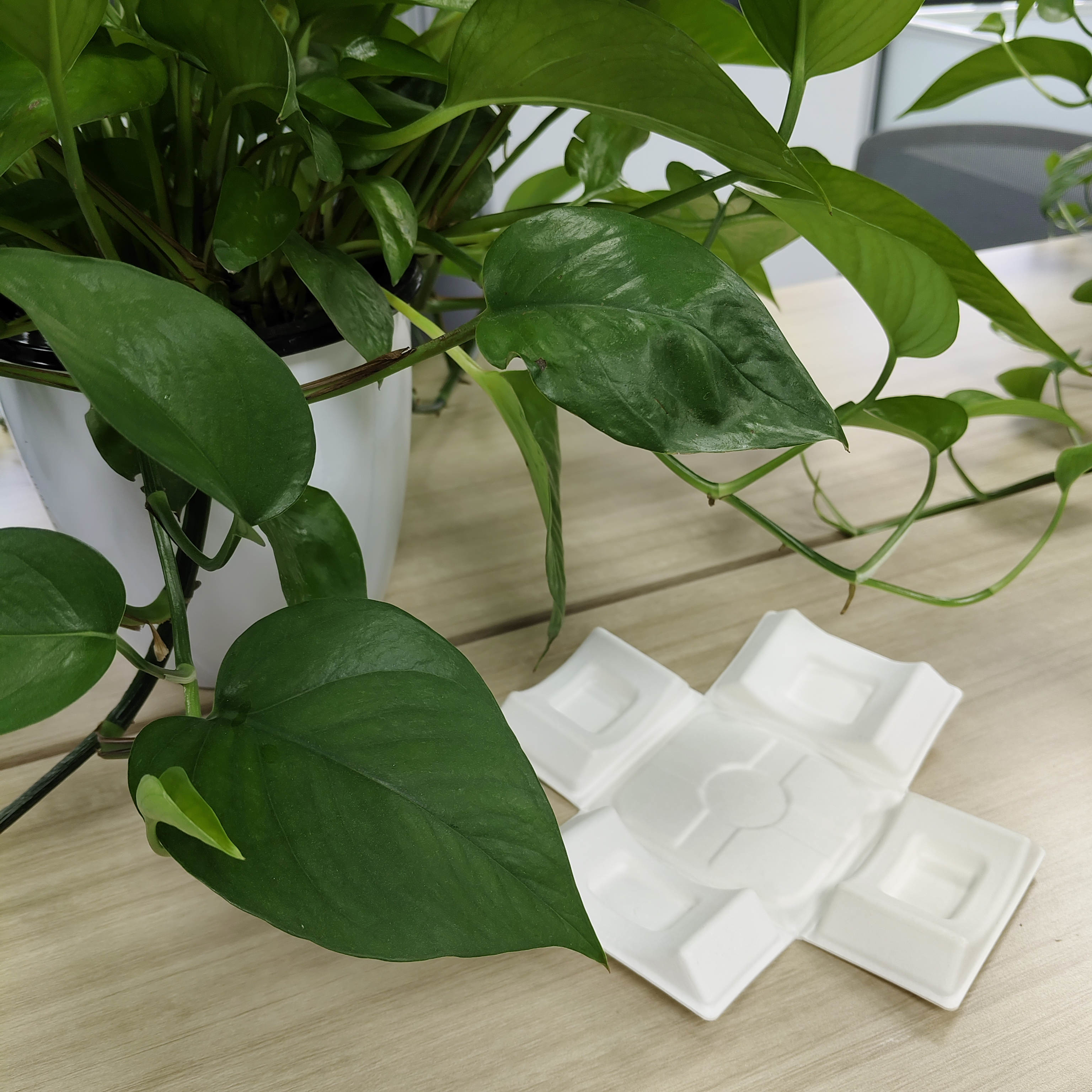 Environmentally friendly white sugarcane bagasse pulp molding with wet pressing for high-end liquor packaging base, featuring embedded bottle bottom