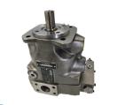 Parker PV020R1K1T1VMMC PV020R1K1T1N100 PV020R1K1T1NMMC Hydraulic pump