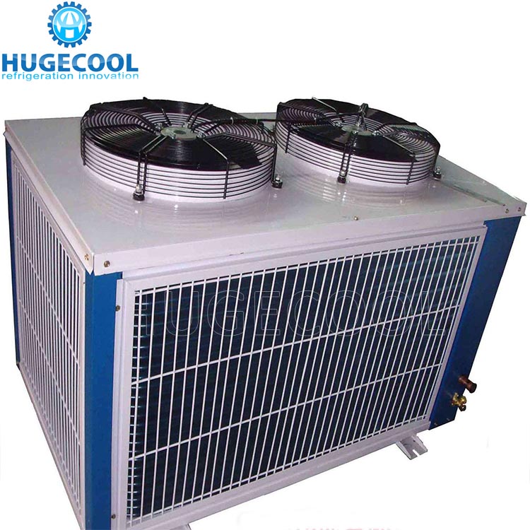 Freezer Cold Room For Frozen Fish Storage