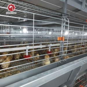 China Hot Galvanizing 6 Tiers 204 Birds Broiler Cages Chicken Raising wholesale