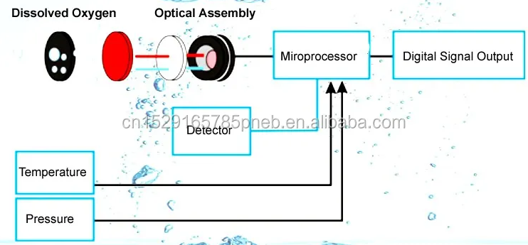 do sensor