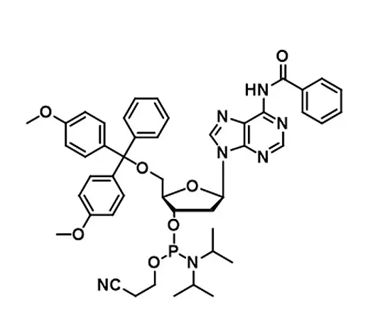 DNA RNA phosphoramidite oligonucleotide synthesis Raw Materials